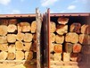 泰国橡胶木进口到青岛清关过程