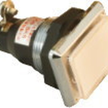 AH16P-Z1日本FUJI富士電機(jī)指示燈輔助觸點(diǎn)AH16P-EXX，AH16P-SFXX