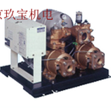 销售40CTH615日本IWAYA岩谷电机水泵WPT-242，20CKT0402图片