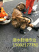 上海浦东管道cctv检测多少钱-上海CCTV检测非开挖管道施工队