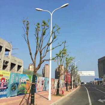 新农村道路灯，太阳能路灯