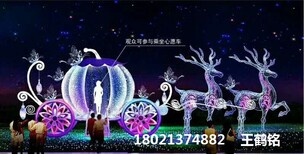 泸州灯光展出售灯光节造型厂家图片3