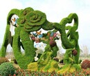 河南景观绿植雕塑批发工厂绿雕生产销售惟妙惟肖图片
