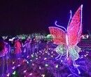湖南梦幻灯光秀公司直销灯光秀制作工厂如何去投资搞好一场灯光节灯光展呢
