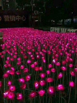 遼寧夢幻燈光秀工廠燈光秀出售