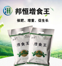 養(yǎng)育肥豬使用增食王促長(zhǎng)劑長(zhǎng)得快