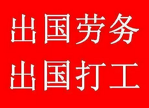 波兰农场招搬运工、蔬菜包装工、蔬菜种植工图片0