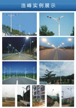 贵州铜仁农村太阳能路灯价格铜仁沿河LED太阳能路灯报价图片2
