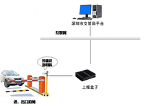 图片0