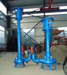 长杆污泥泵/液下渣浆泵厂家/ZSL立式泥浆泵型号（畜牧养殖专用）