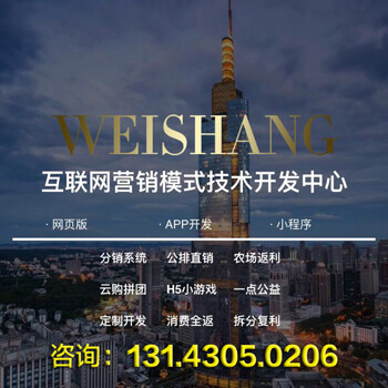 美汇金商模式软件开发