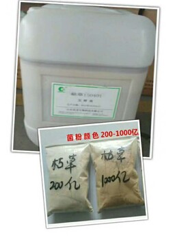 厂家200亿芽孢杆菌原粉乳酸菌脱霉剂粪便发酵剂发酵床菌种