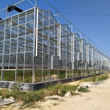 南平农产品展销市场玻璃温室大棚尺寸自定义加工实体厂家