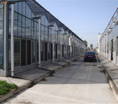 现代化阳光生态餐厅玻璃温室大棚项目建设工程基地厂家找我们