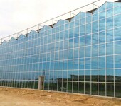 巴中农业育种育苗智能玻璃温室大棚建设厂家国家农科院合作签约公司
