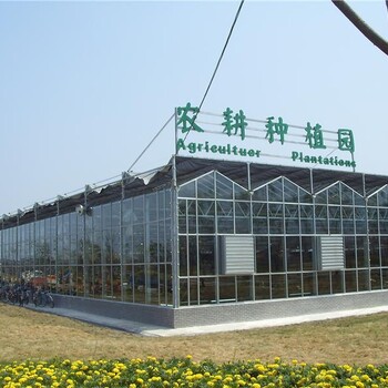 自贡四季自动恒温玻璃温室大棚工程有进出口贸易权的厂家