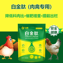 肉鸭催肥用什么肉鸭吃什么长得快肉鸭增重用什么好图片