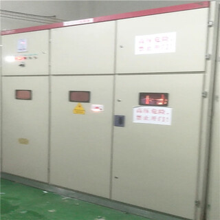 10KV高压鼠笼液态水阻柜一体控制高压软启动价格图片2