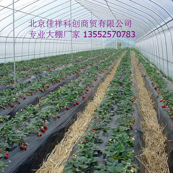 大棚價(jià)格溫室大棚成本蔬菜大棚建造價(jià)格建造溫室大棚廠(chǎng)家