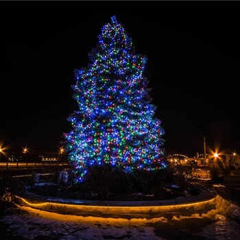 冰城哈尔冰唯美圣诞树一起相约圣诞树出租出售
