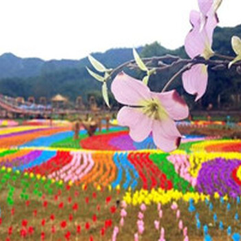 網(wǎng)紅打卡國際燈光展安裝市政亮化彩燈出租