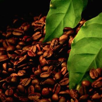 印尼咖啡豆分商检法检吗