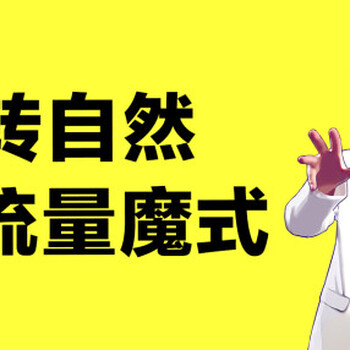 1688分销体系惠淘分销宝运营技术店淘软件小程序招商加盟