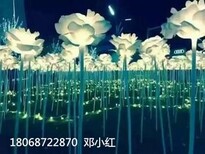 衡水梦幻灯光节策划厂家出售灯光展造型图片0