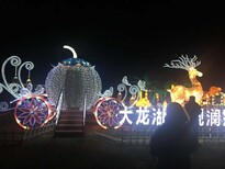 商丘大型梦幻灯光节国际高标准生产制作出售led造型灯出产图片3