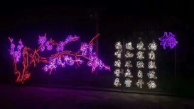 商丘大型梦幻灯光节国际高标准生产制作出售led造型灯出产图片2