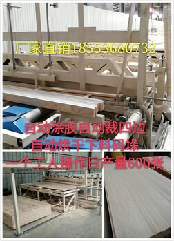 木工拼板机厂家拼板机价格全自动拼板机生产线