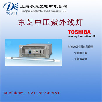 东芝中压紫外线灯管中压水处理紫外线杀菌消毒灯日本原装进口