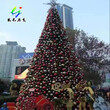 大型圣诞树哪里有卖图片