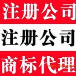 上海注册公司，办理进出口，食品，生产，注册户图片2