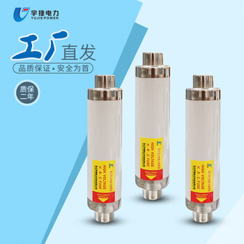 XRNT1-12KVXRNT-10变压器保护用高压限流熔断器50A63A80A100A