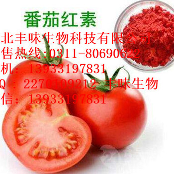 番茄提取物番茄粉番茄红素