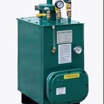 天津LPG200kg電熱式氣化爐/上海LPG電熱式氣化器