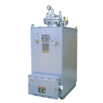 生产LPG电热式气化器/CPTYL电热式气化炉