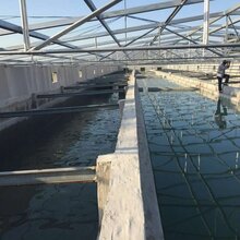 大棚韭菜每亩万元超市卖三农高效能大棚建筑材料低能耗大棚建筑材料图片