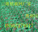 杭州植被网厂家&电话价格图片