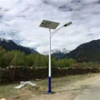 衡水太阳能路灯厂家应该用哪种灯