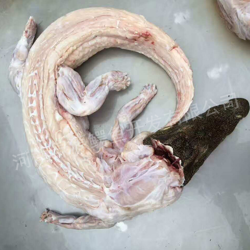 鳄鱼肉