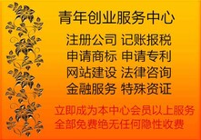 深圳更换新版营业执照图片0