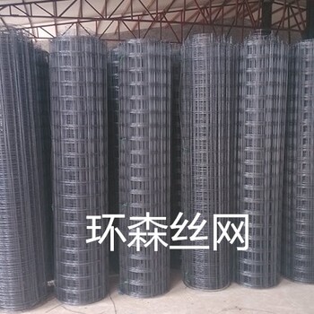 安平鋼絲格柵’玻纖土工格柵-高強鋼絲格柵-軟基鋼絲格柵-熔接土工格柵