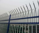广东珠海市政道路护栏工厂围墙护栏学校景区锌钢护栏厂家直销图片
