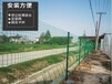 深圳工厂外围护栏网-厂区围网墙-养殖围栏网，经济实用型双边丝围栏网