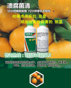 柑橘潰瘍病癥狀表現(xiàn)發(fā)病原因，柑橘潰瘍病藥（潰腐菌清）