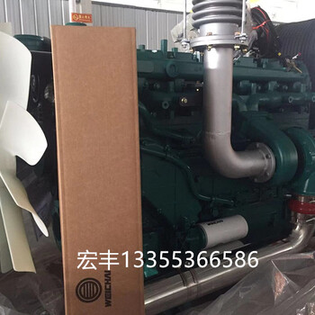 潍柴主用250KW国三蓝擎柴油机WP10D320E310