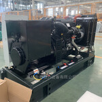 潍柴动力WP4.1D100E200电调泵配套80千瓦电机四保护