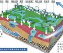 海绵城市绿化重点，您的必选